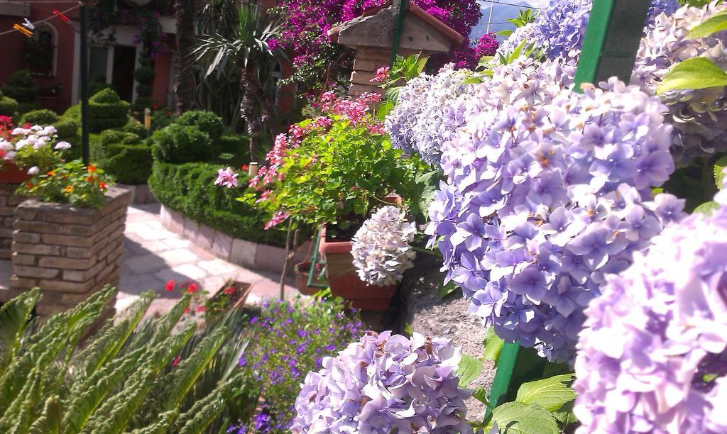 Apartment City Garden كوتور الغرفة الصورة